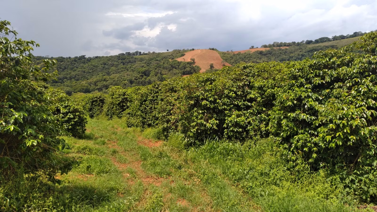 Farm of 509 acres in São Lourenço, MG, Brazil