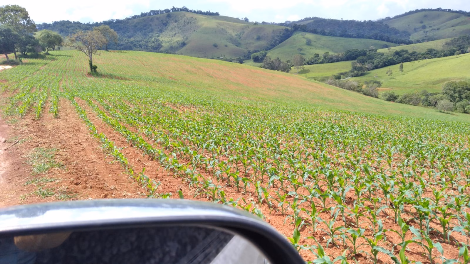 Farm of 509 acres in São Lourenço, MG, Brazil