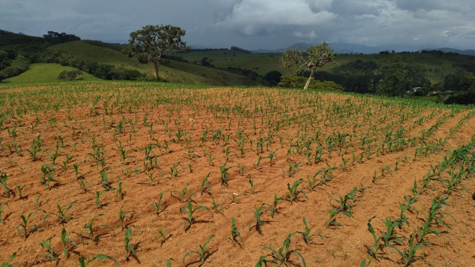 Farm of 509 acres in São Lourenço, MG, Brazil
