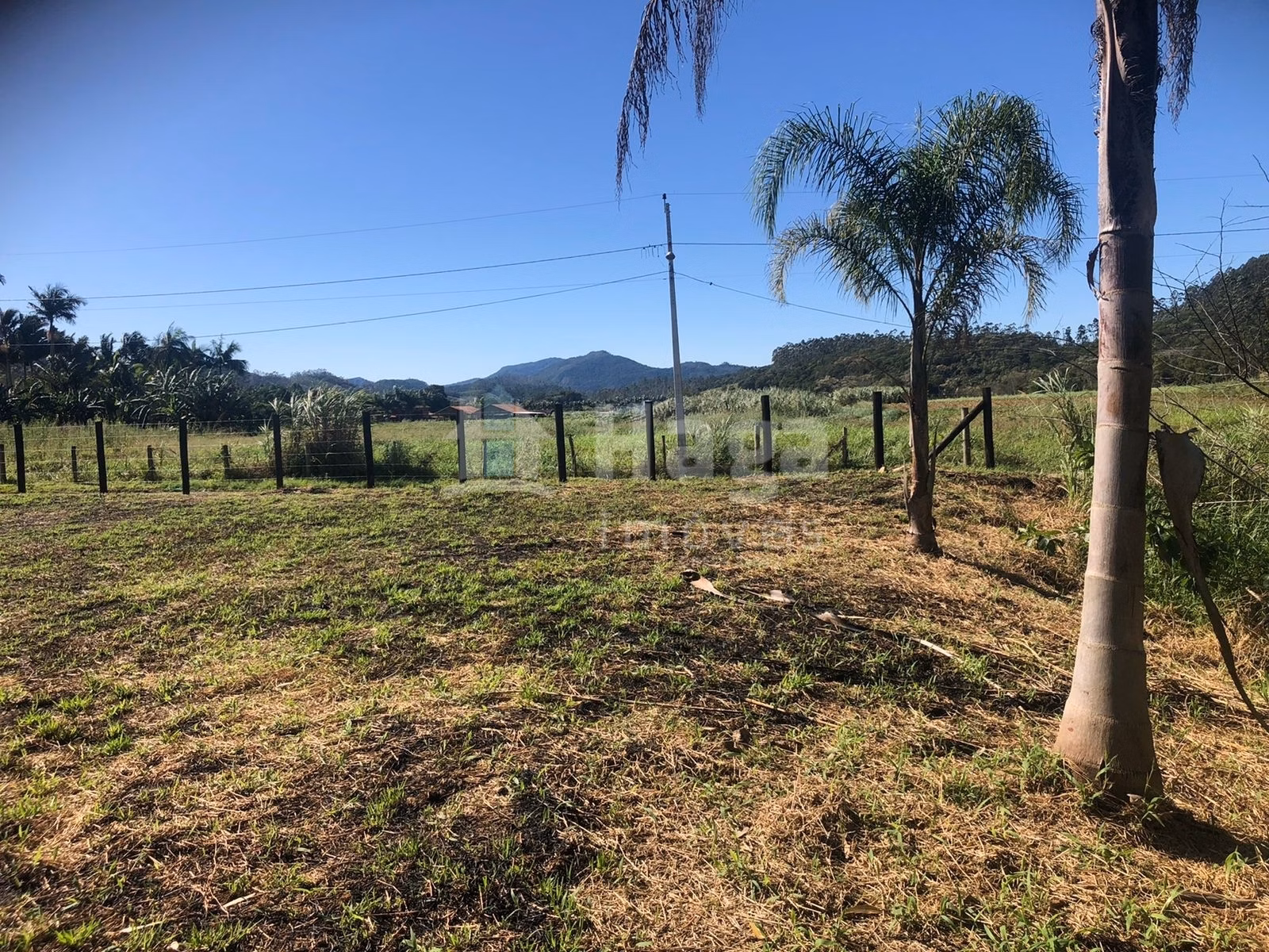 Chácara de 2.000 m² em Tijucas, SC