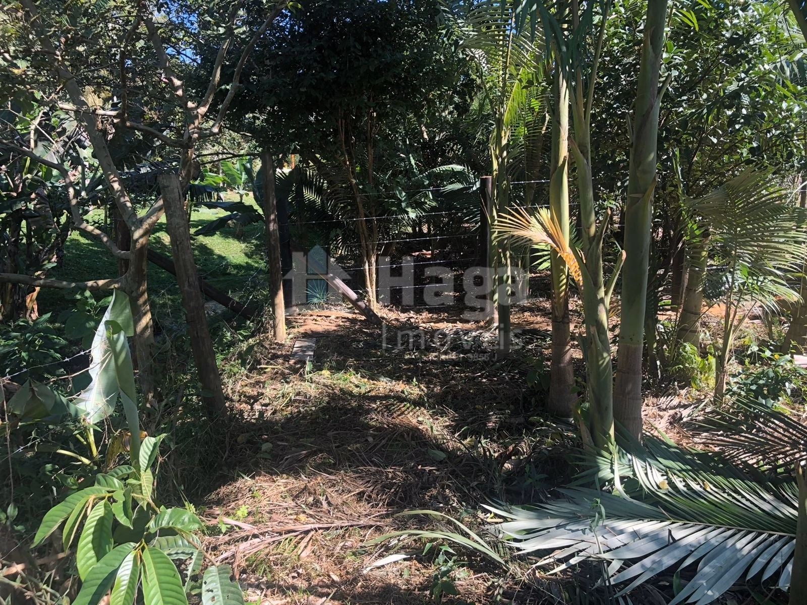 Chácara de 2.000 m² em Tijucas, SC