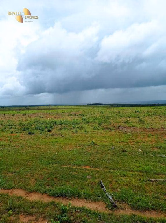 Fazenda de 13.150 ha em Nova Ubiratã, MT