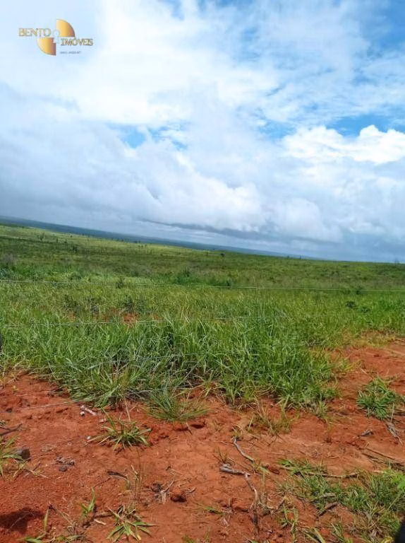 Fazenda de 13.150 ha em Nova Ubiratã, MT