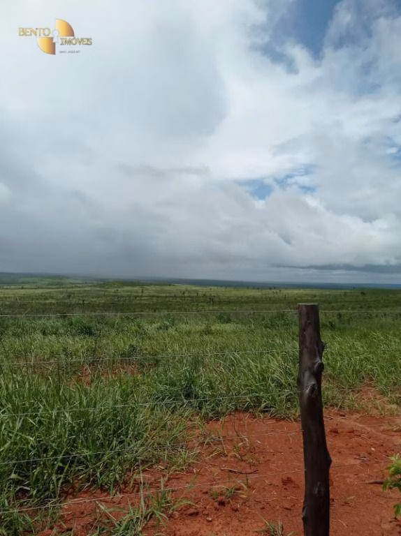 Fazenda de 13.150 ha em Nova Ubiratã, MT