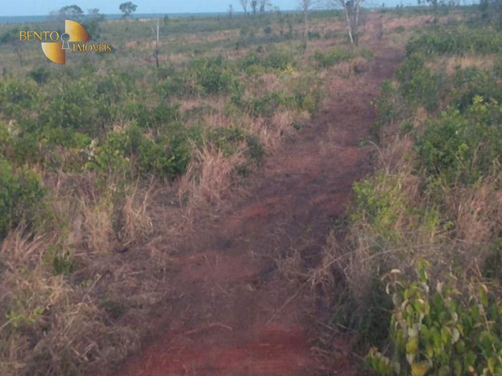 Fazenda de 13.150 ha em Nova Ubiratã, MT