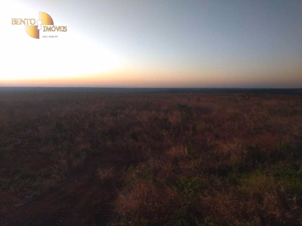 Fazenda de 13.150 ha em Nova Ubiratã, MT