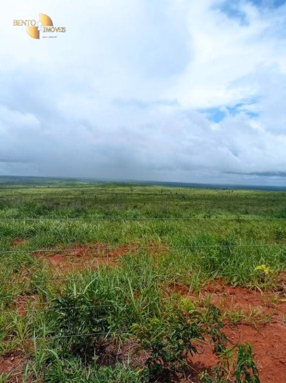 Fazenda de 13.150 ha em Nova Ubiratã, MT