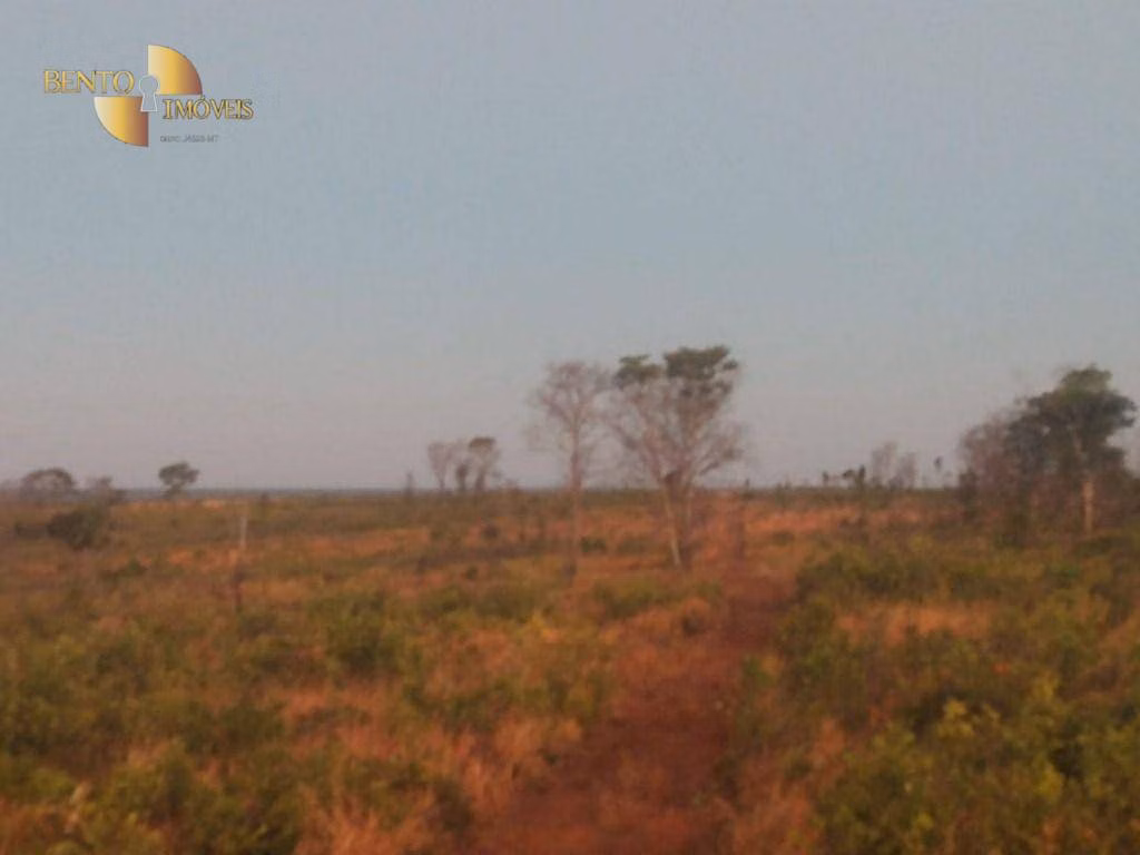 Fazenda de 13.150 ha em Nova Ubiratã, MT