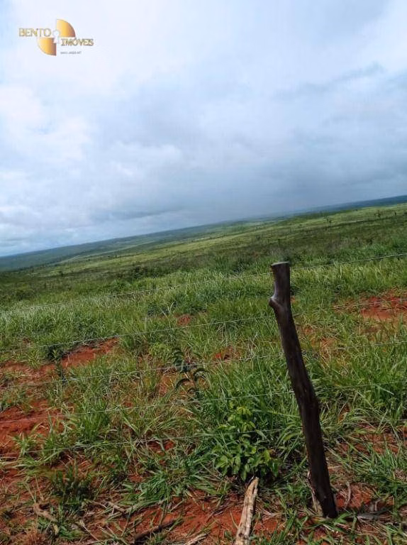 Fazenda de 13.150 ha em Nova Ubiratã, MT