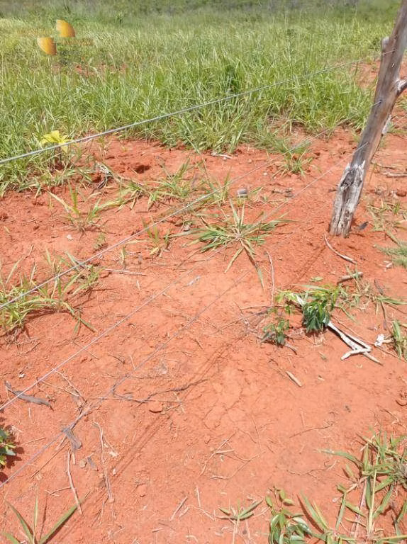 Fazenda de 13.150 ha em Nova Ubiratã, MT