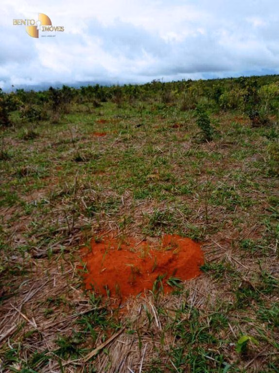 Fazenda de 13.150 ha em Nova Ubiratã, MT
