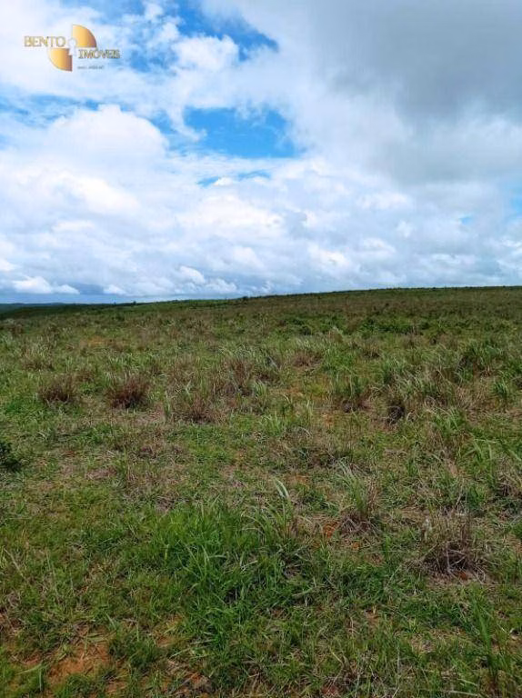 Fazenda de 13.150 ha em Nova Ubiratã, MT