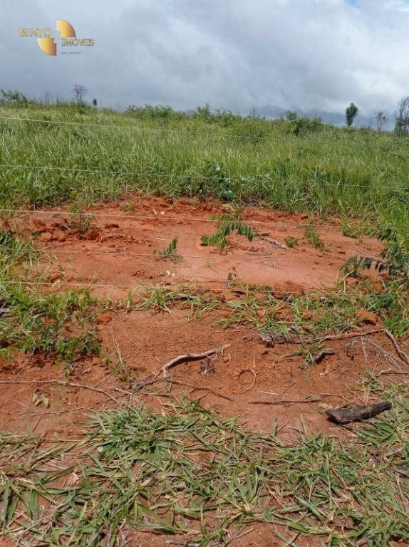 Fazenda de 13.150 ha em Nova Ubiratã, MT