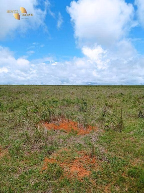 Fazenda de 13.150 ha em Nova Ubiratã, MT