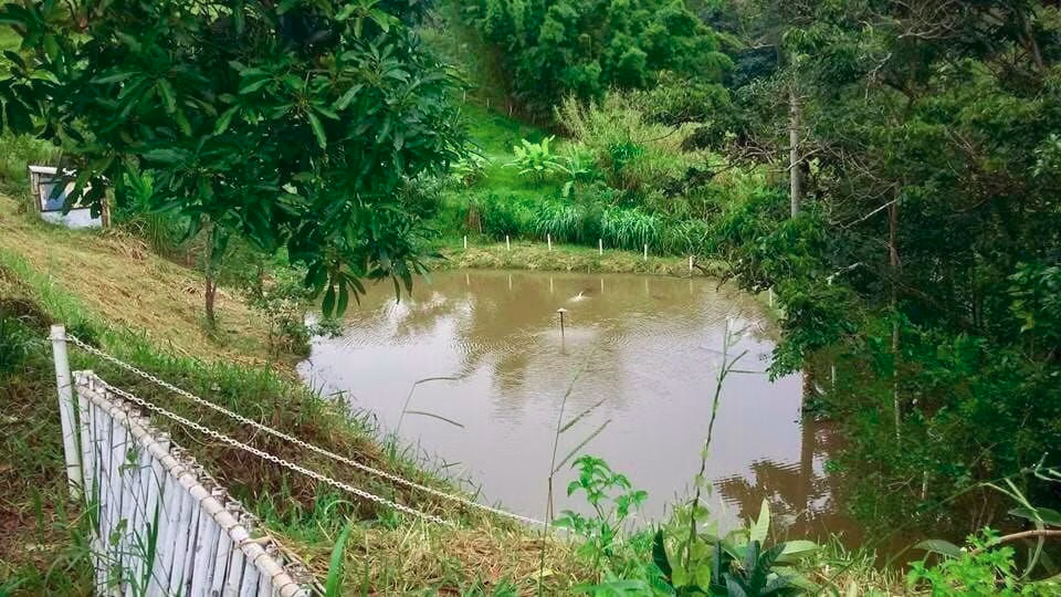 Small farm of 11 acres in Monteiro Lobato, SP, Brazil
