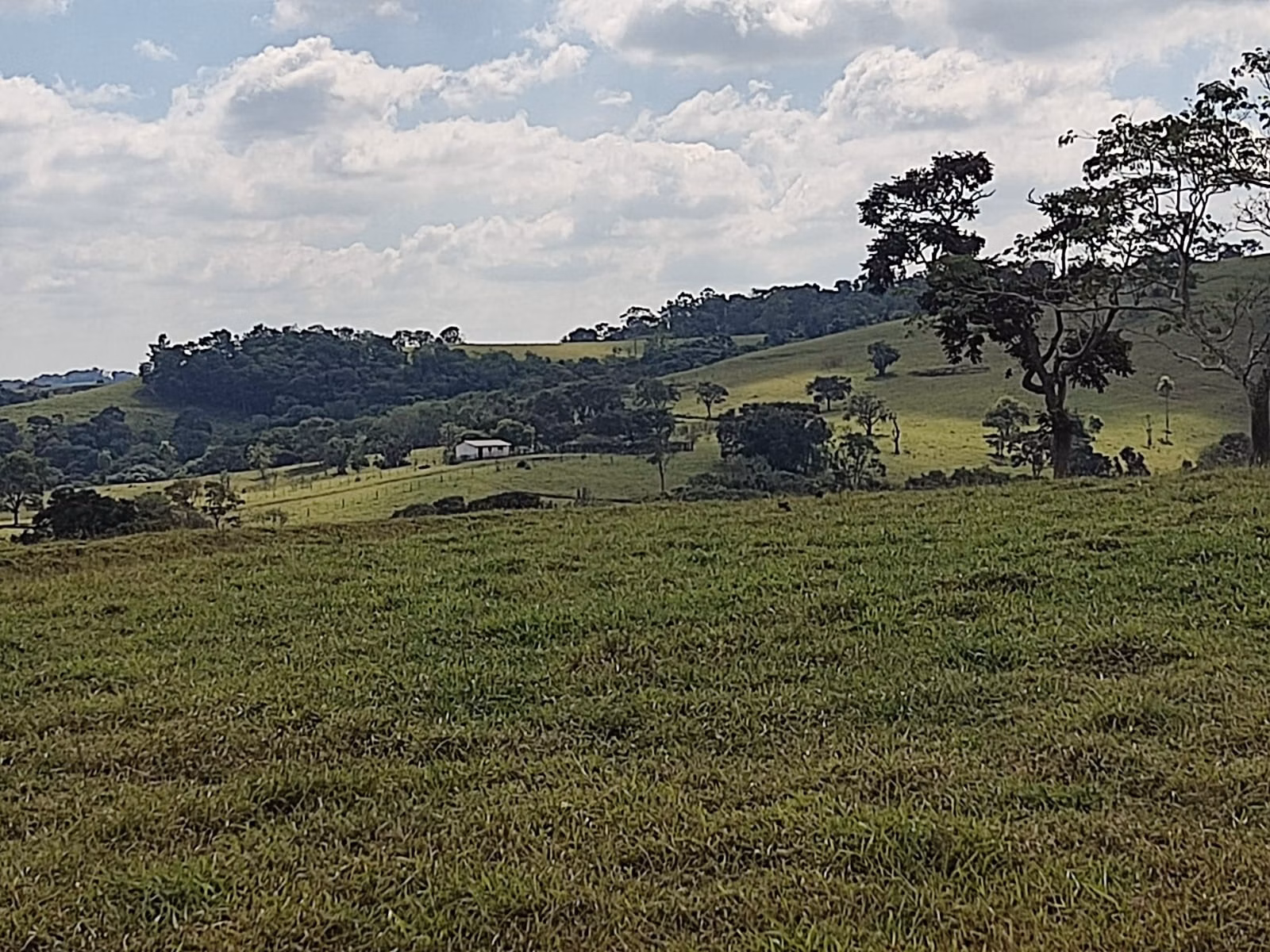 Fazenda de 102 ha em Angatuba, SP