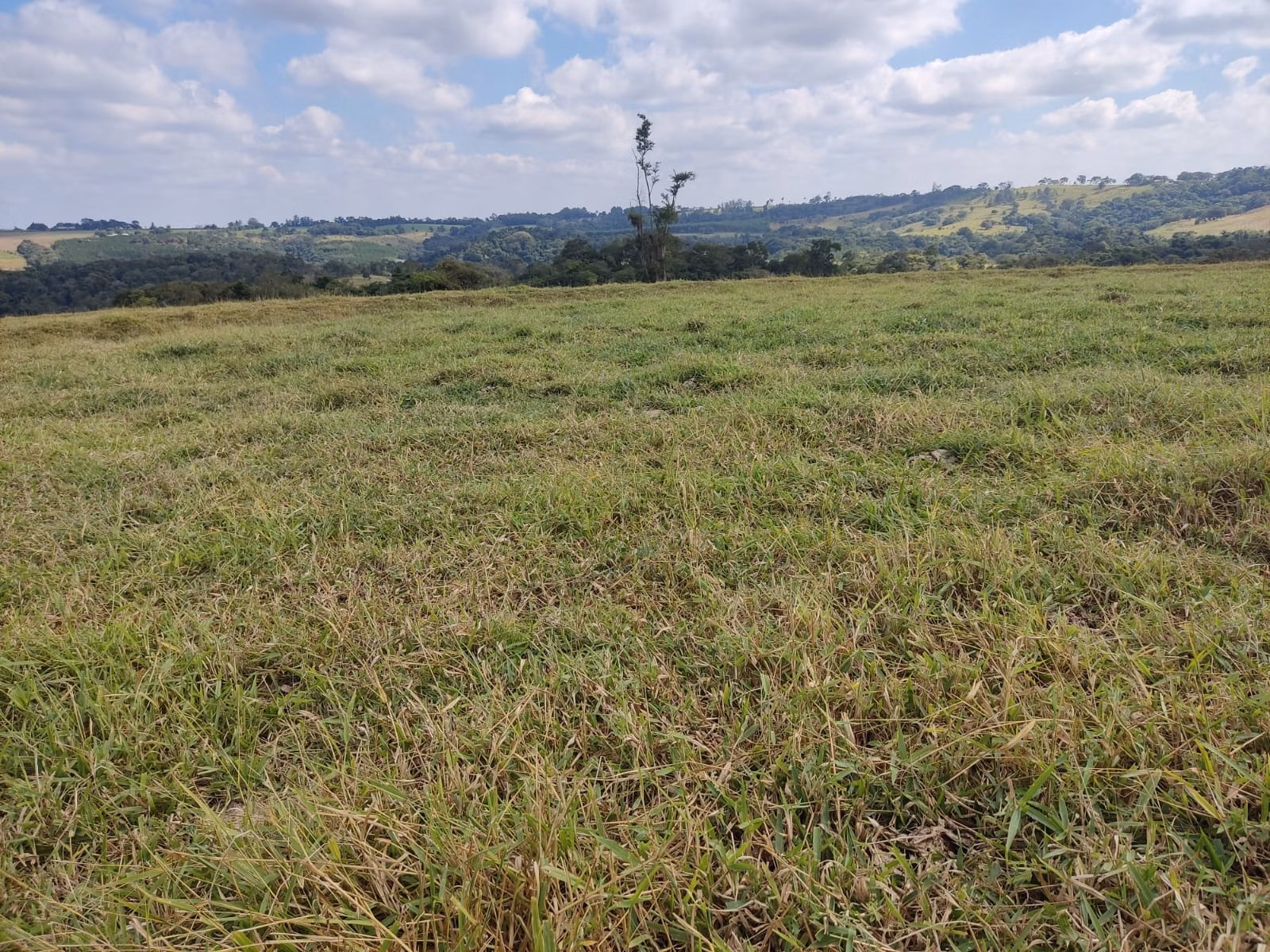 Fazenda de 102 ha em Angatuba, SP