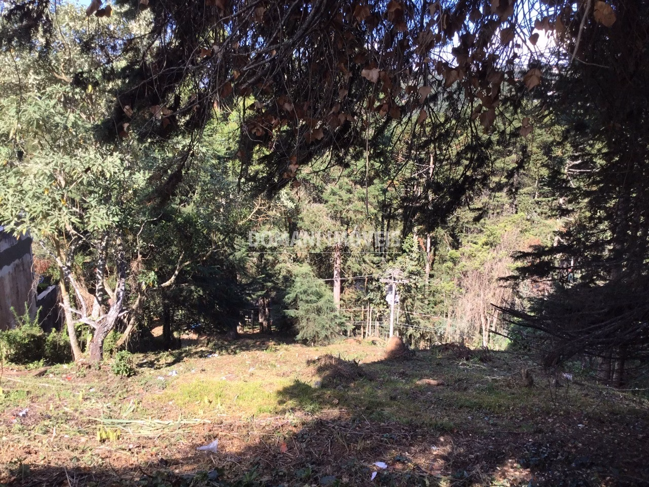 Plot of 920 m² in Campos do Jordão, SP, Brazil