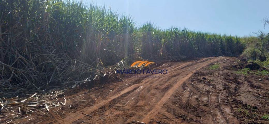 São Carlos, SPの167 ha、農場（販売中）