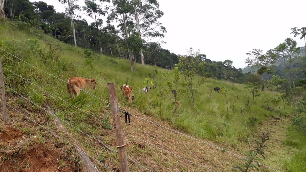 Chácara de 1 ha em Natividade da Serra, SP