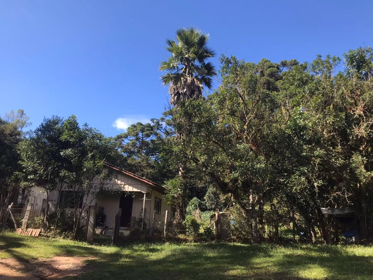 Chácara de 3 ha em Tijucas do Sul, PR