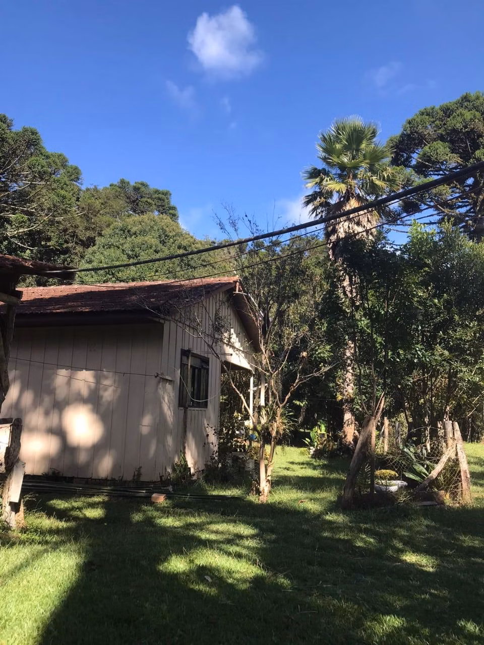 Chácara de 3 ha em Tijucas do Sul, PR