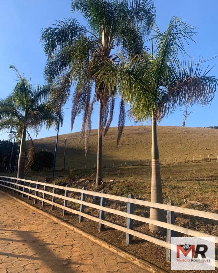 Sítio de 30 ha em Santa Rita do Sapucaí, MG