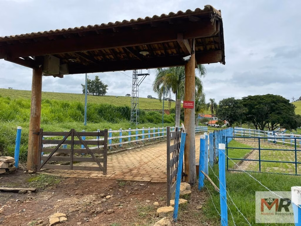 Sítio de 30 ha em Santa Rita do Sapucaí, MG