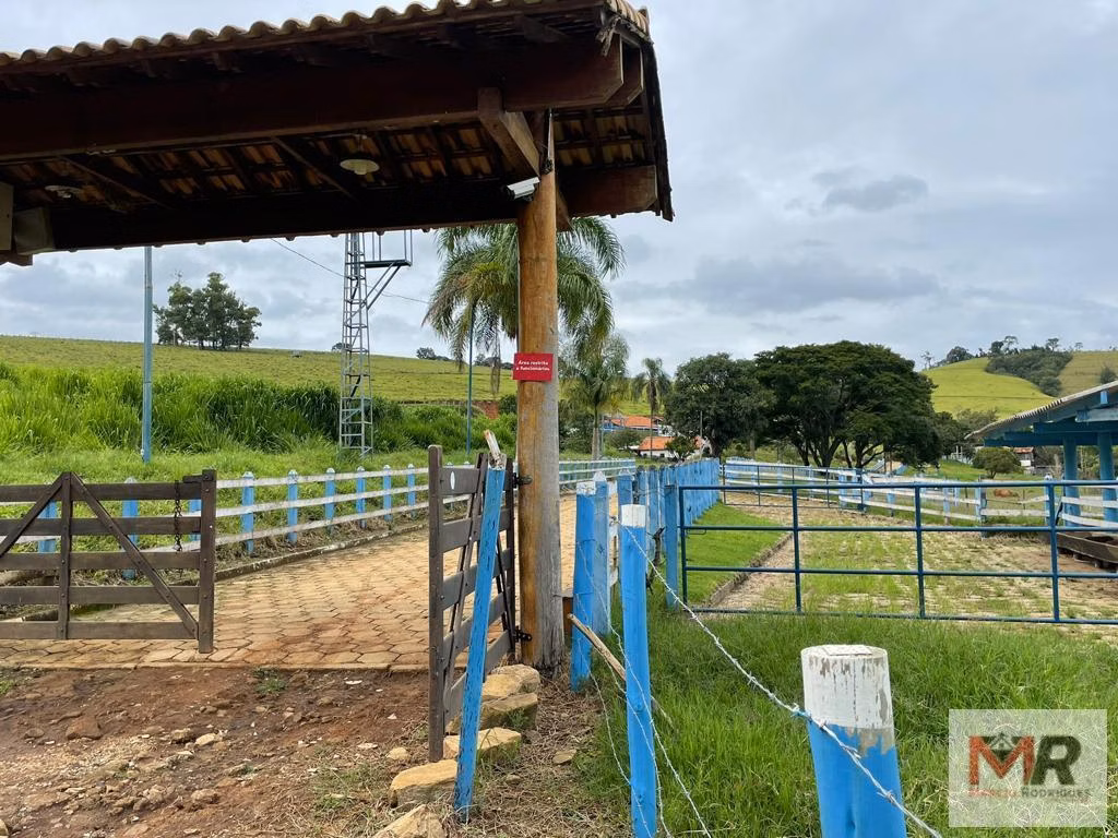 Sítio de 30 ha em Santa Rita do Sapucaí, MG