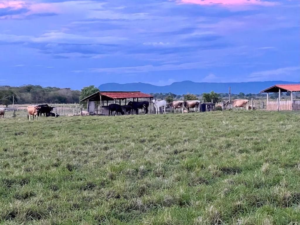 Small farm of 131 acres in Poconé, MT, Brazil