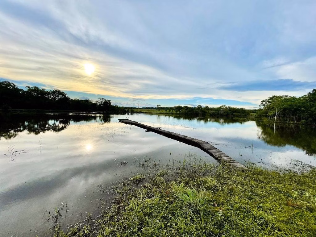 Small farm of 131 acres in Poconé, MT, Brazil