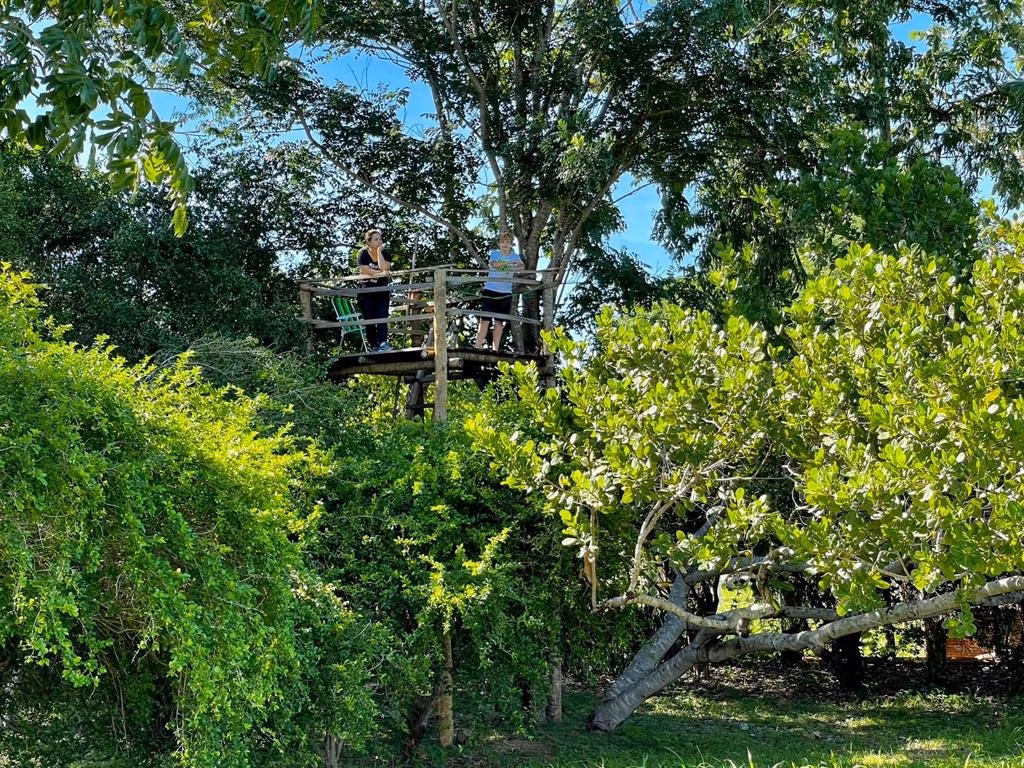 Small farm of 131 acres in Poconé, MT, Brazil