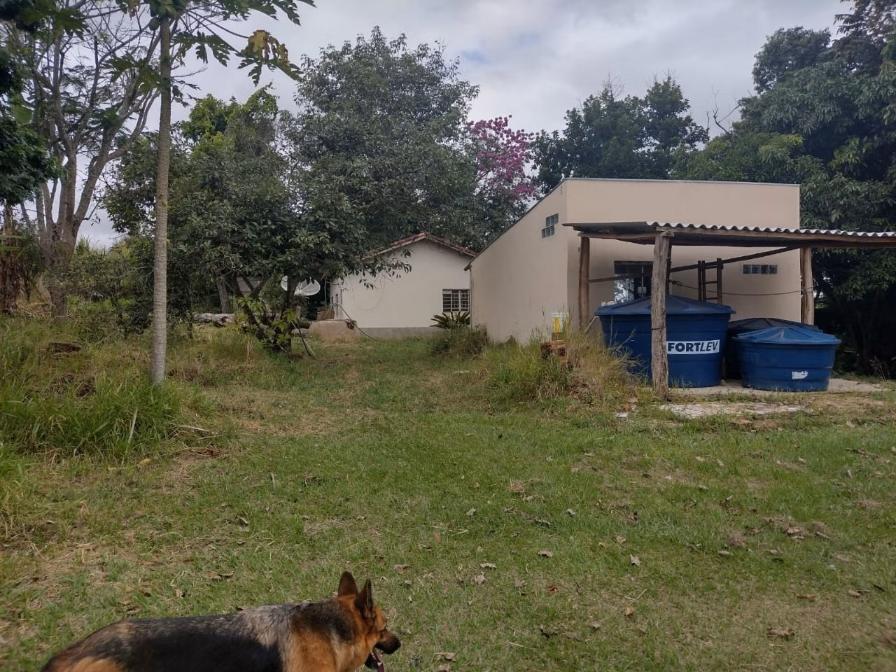 Small farm of 27 acres in Itapetininga, SP, Brazil