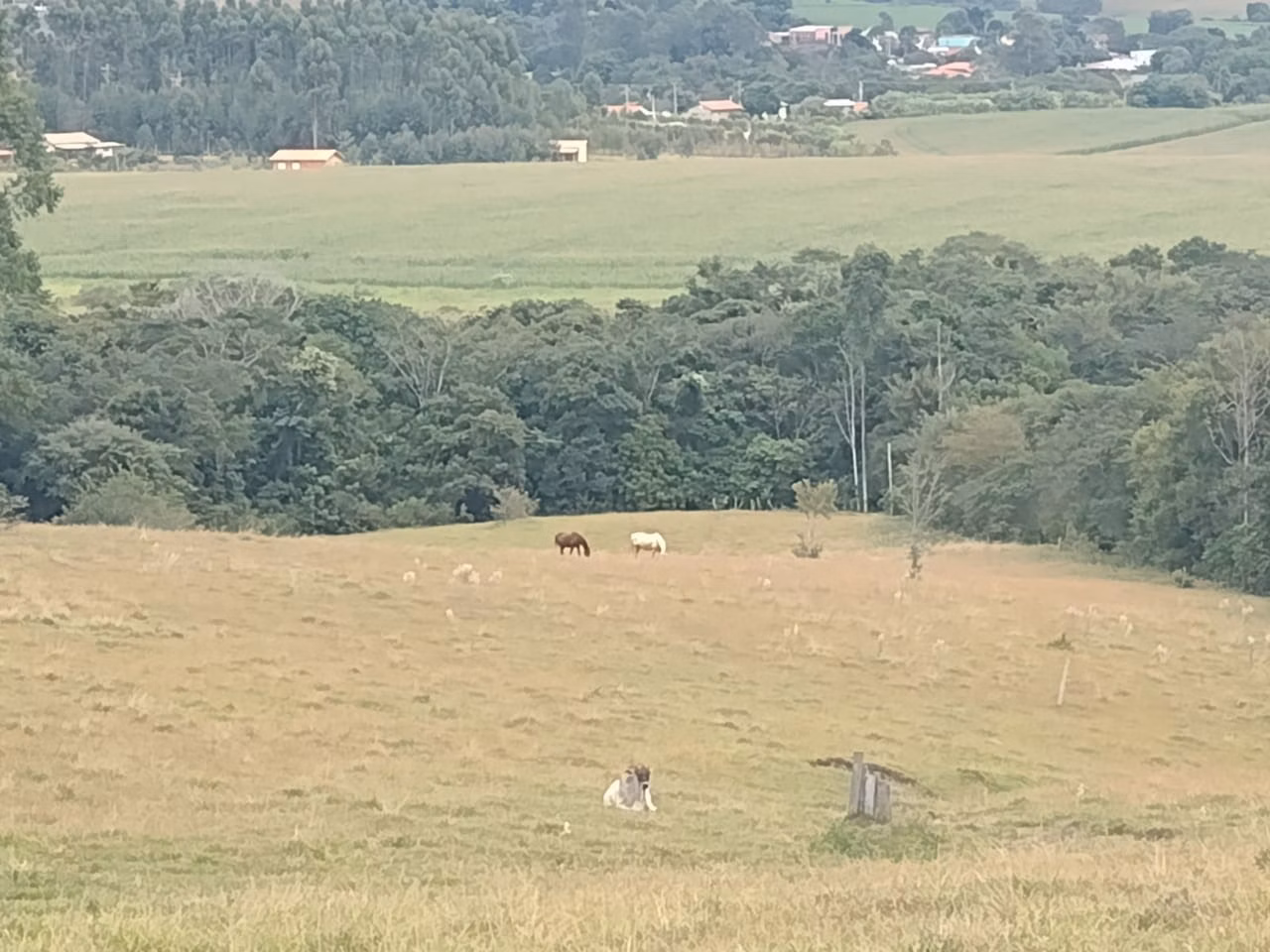 Sítio de 11 ha em Itapetininga, SP