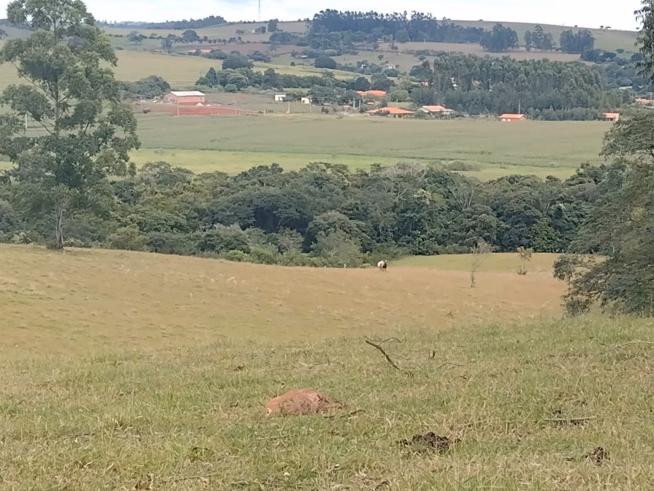 Small farm of 27 acres in Itapetininga, SP, Brazil