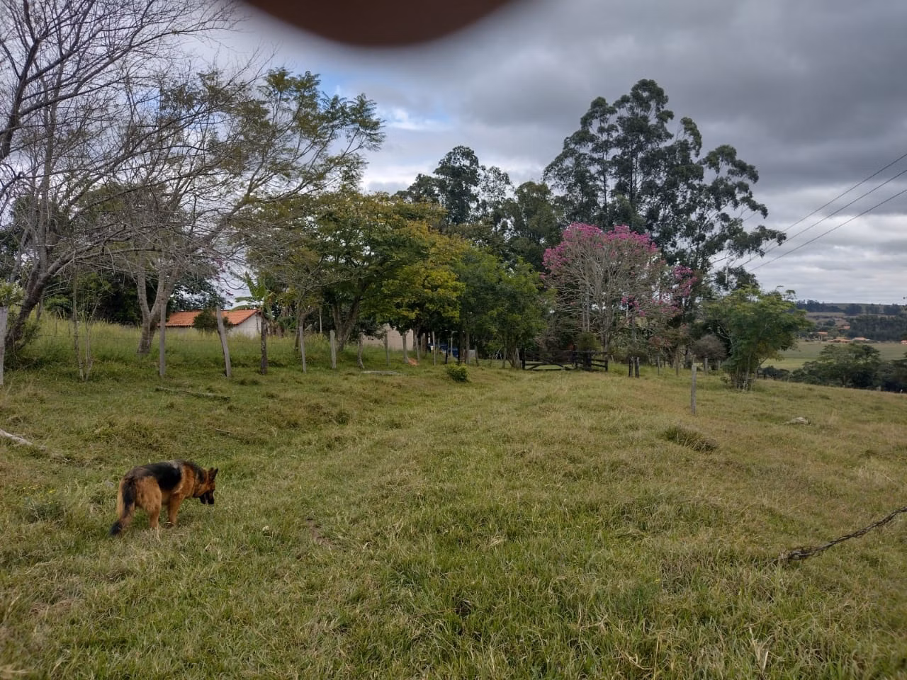Small farm of 27 acres in Itapetininga, SP, Brazil