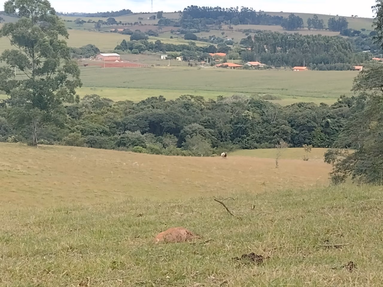 Small farm of 27 acres in Itapetininga, SP, Brazil