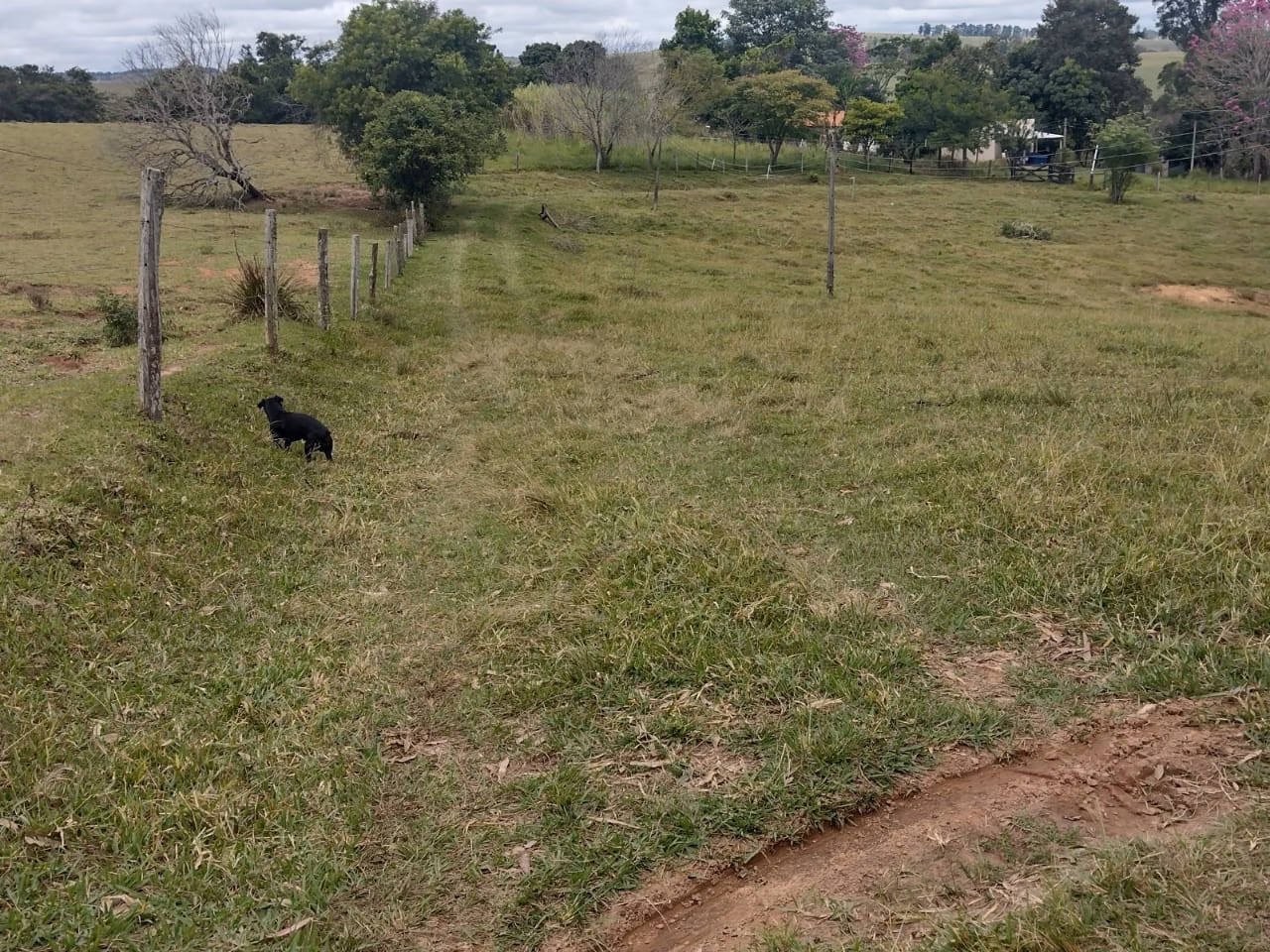 Small farm of 27 acres in Itapetininga, SP, Brazil