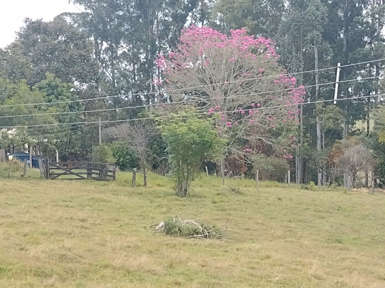 Small farm of 27 acres in Itapetininga, SP, Brazil