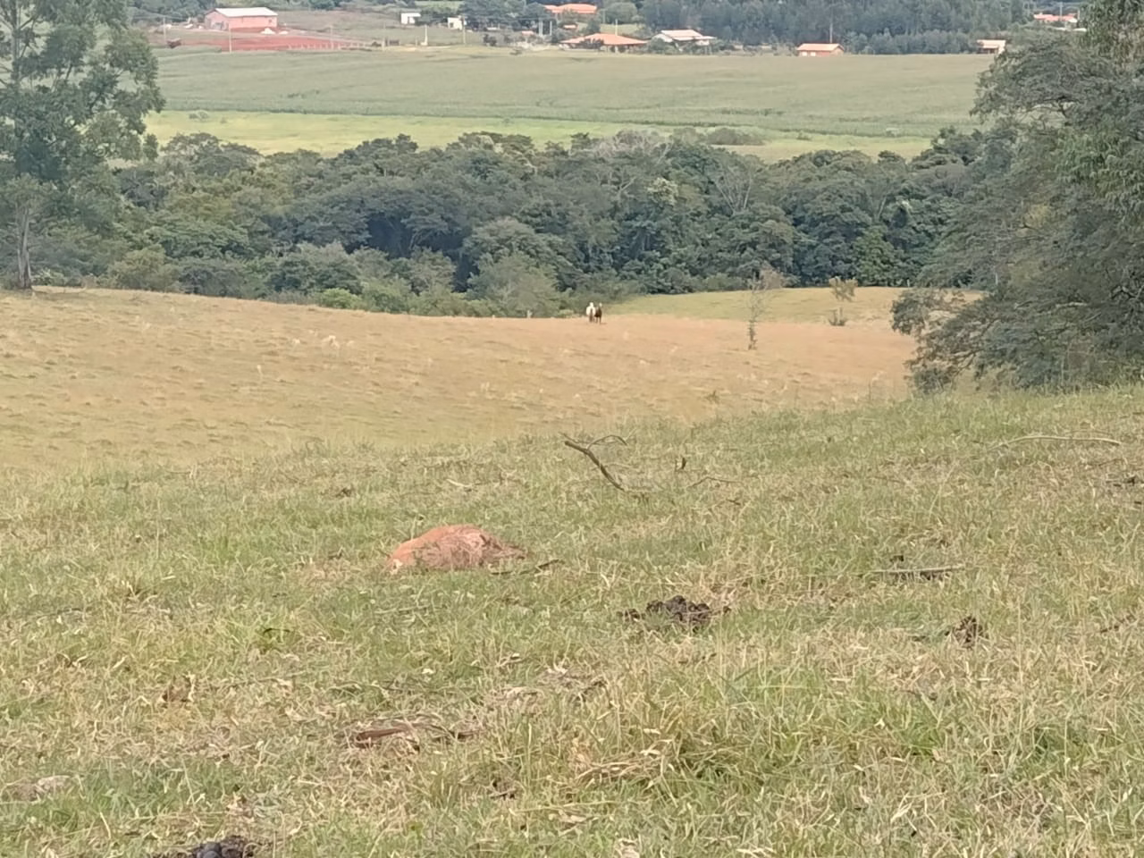 Sítio de 11 ha em Itapetininga, SP