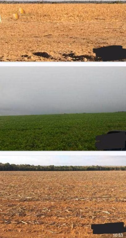 Fazenda de 39.000 ha em Confresa, MT