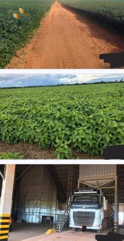 Fazenda de 39.000 ha em Confresa, MT