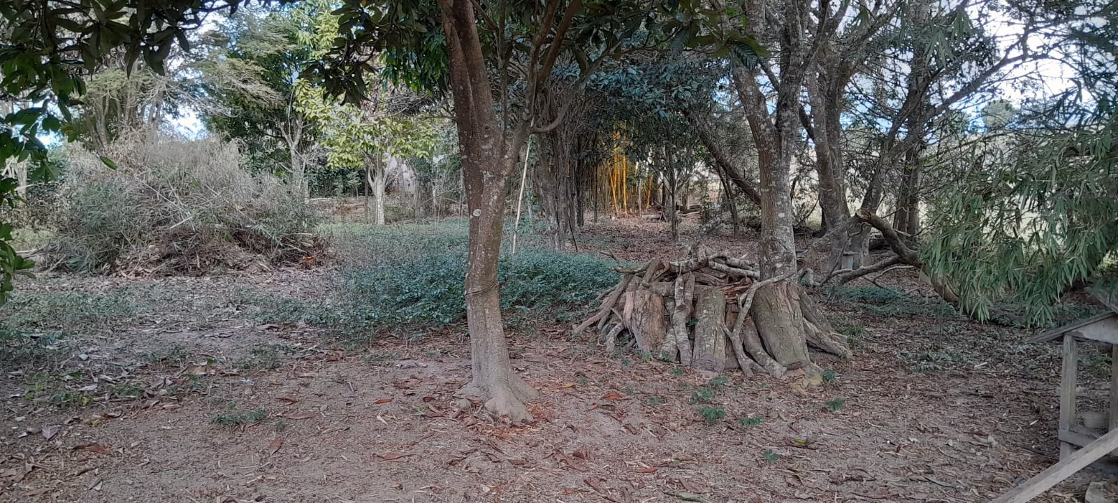 Chácara de 3.990 m² em Paraibuna, SP
