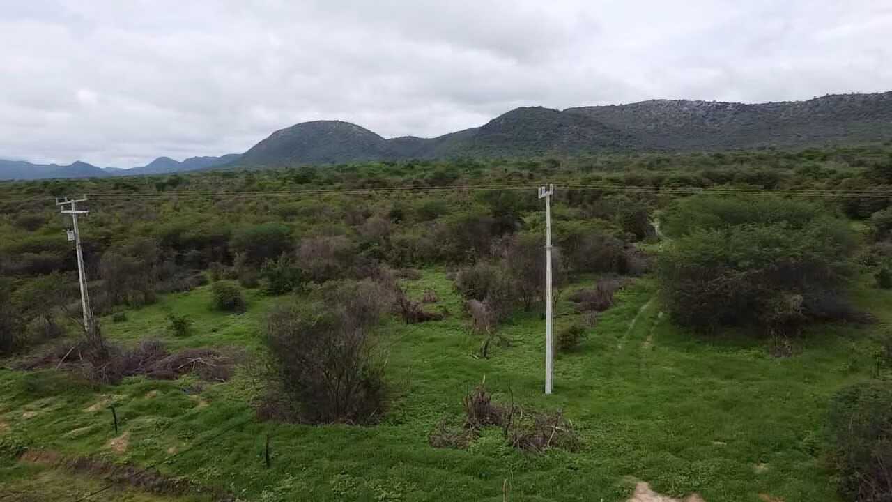 Fazenda de 222 ha em Morpará, BA