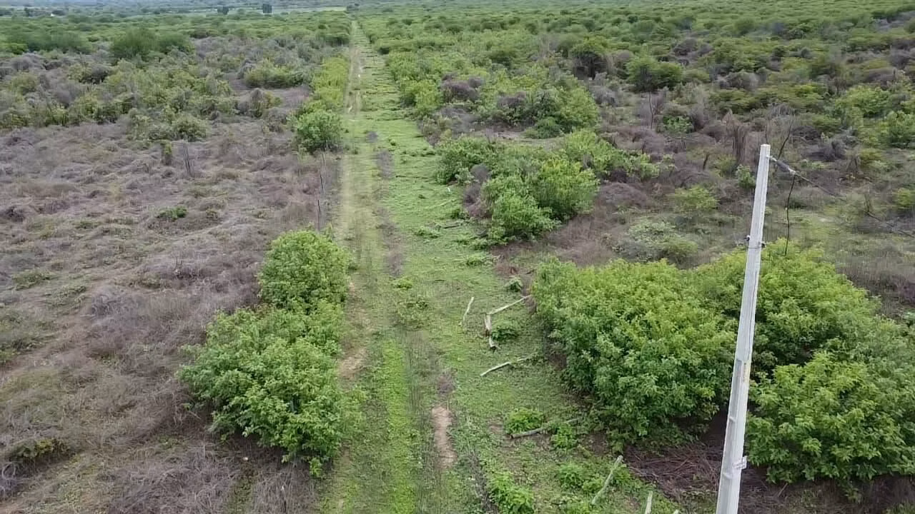 Fazenda de 222 ha em Morpará, BA