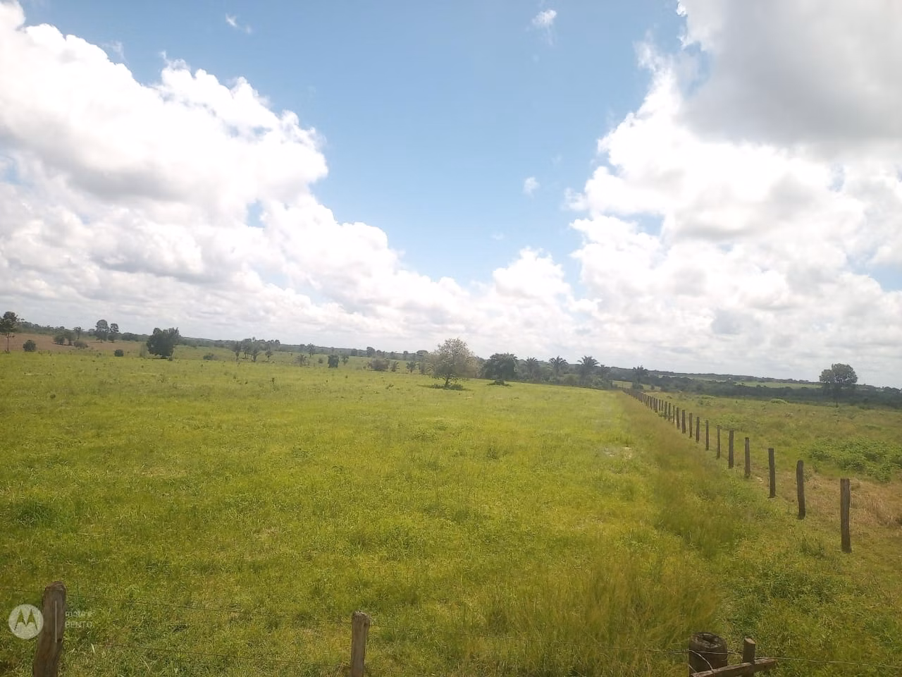 Farm of 1.297 acres in São Domingos do Capim, PA, Brazil