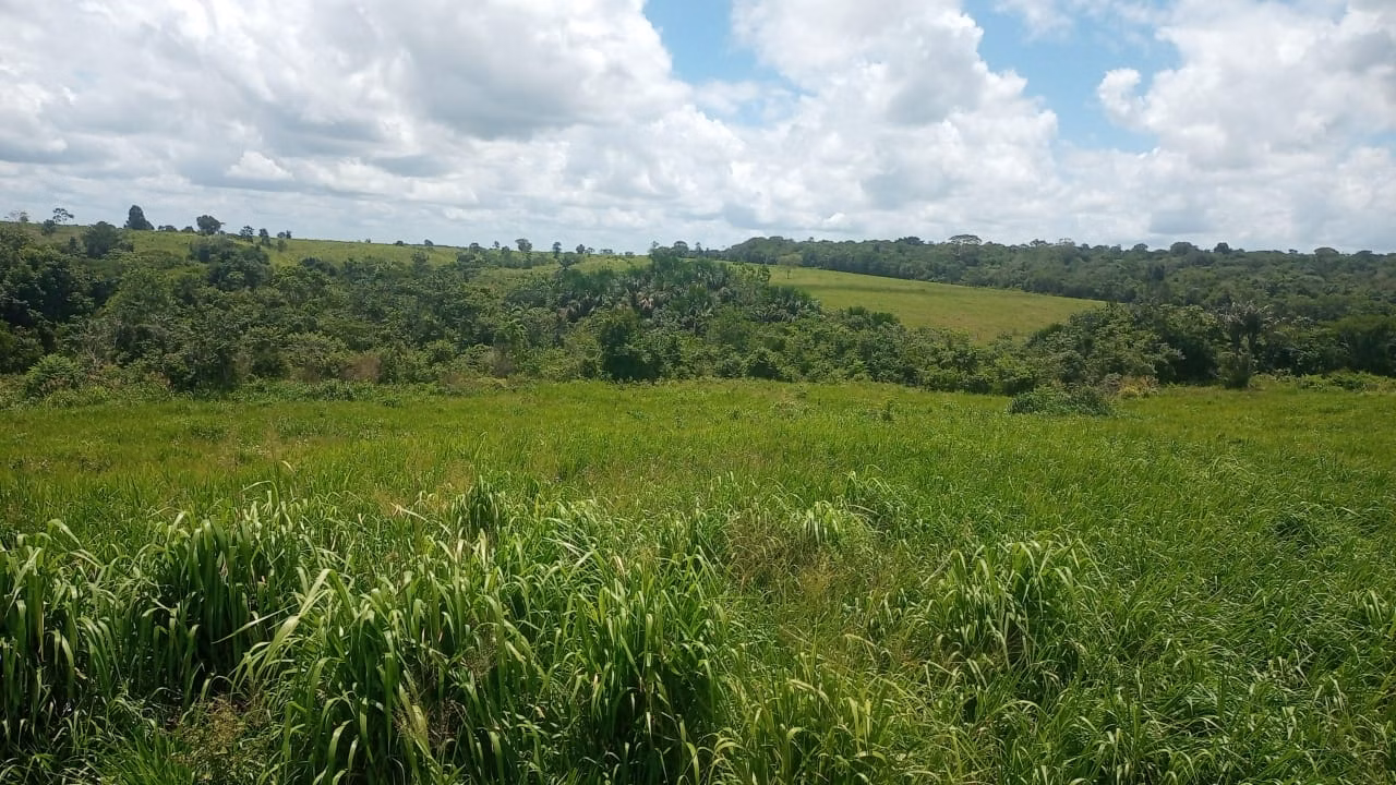 Farm of 1,297 acres in São Domingos do Capim, PA, Brazil