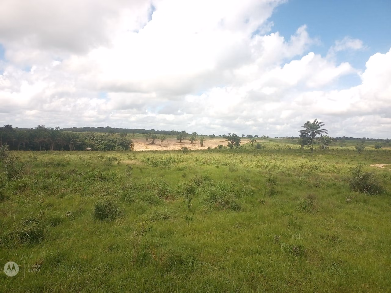 Farm of 1,297 acres in São Domingos do Capim, PA, Brazil
