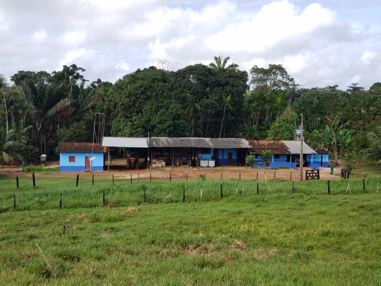 Farm of 1,297 acres in São Domingos do Capim, PA, Brazil