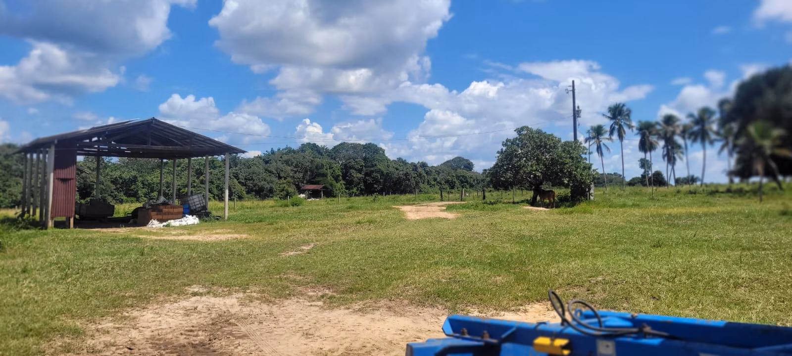 Farm of 1,297 acres in São Domingos do Capim, PA, Brazil